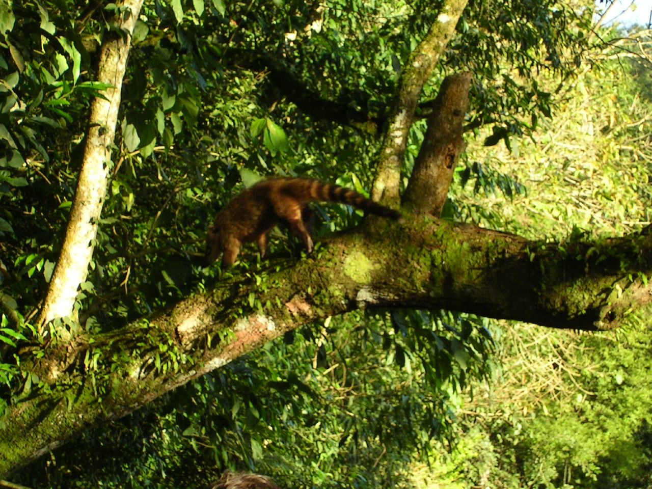 Iguazú, Argentinien