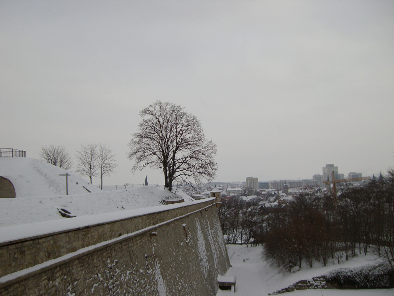 Erfurt im Winter