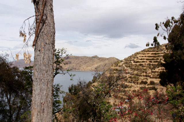 Titicacasee, Bolivien