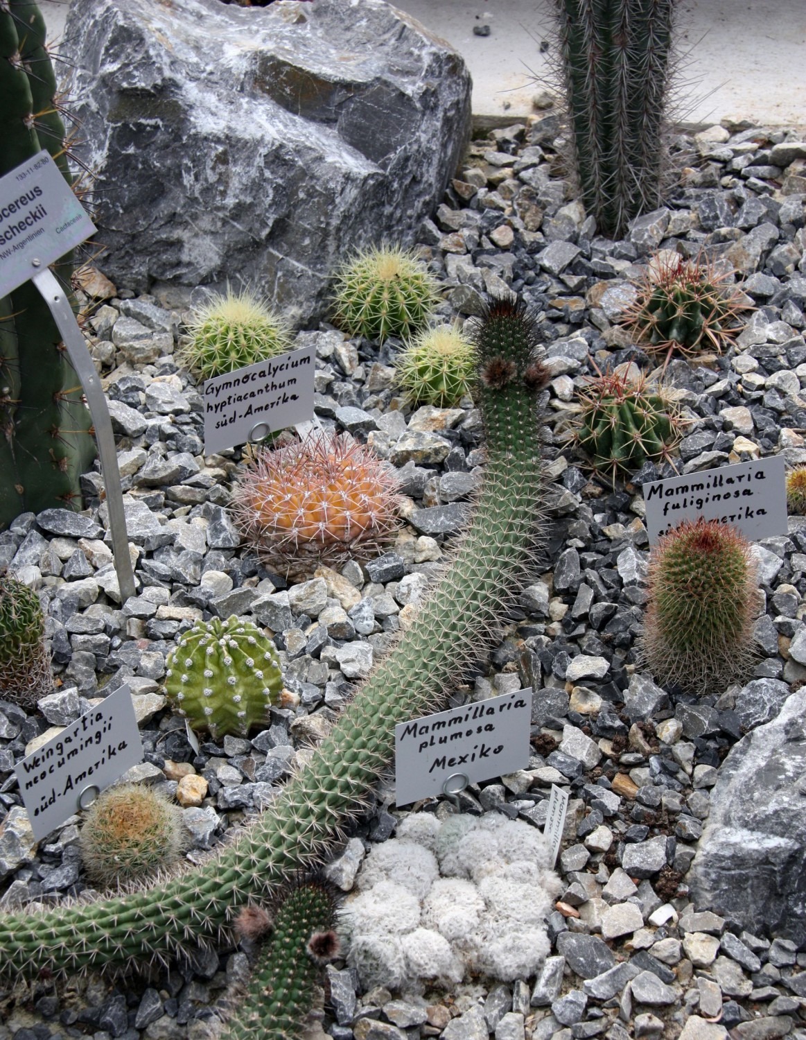 Botanischer Volkspark Berlin