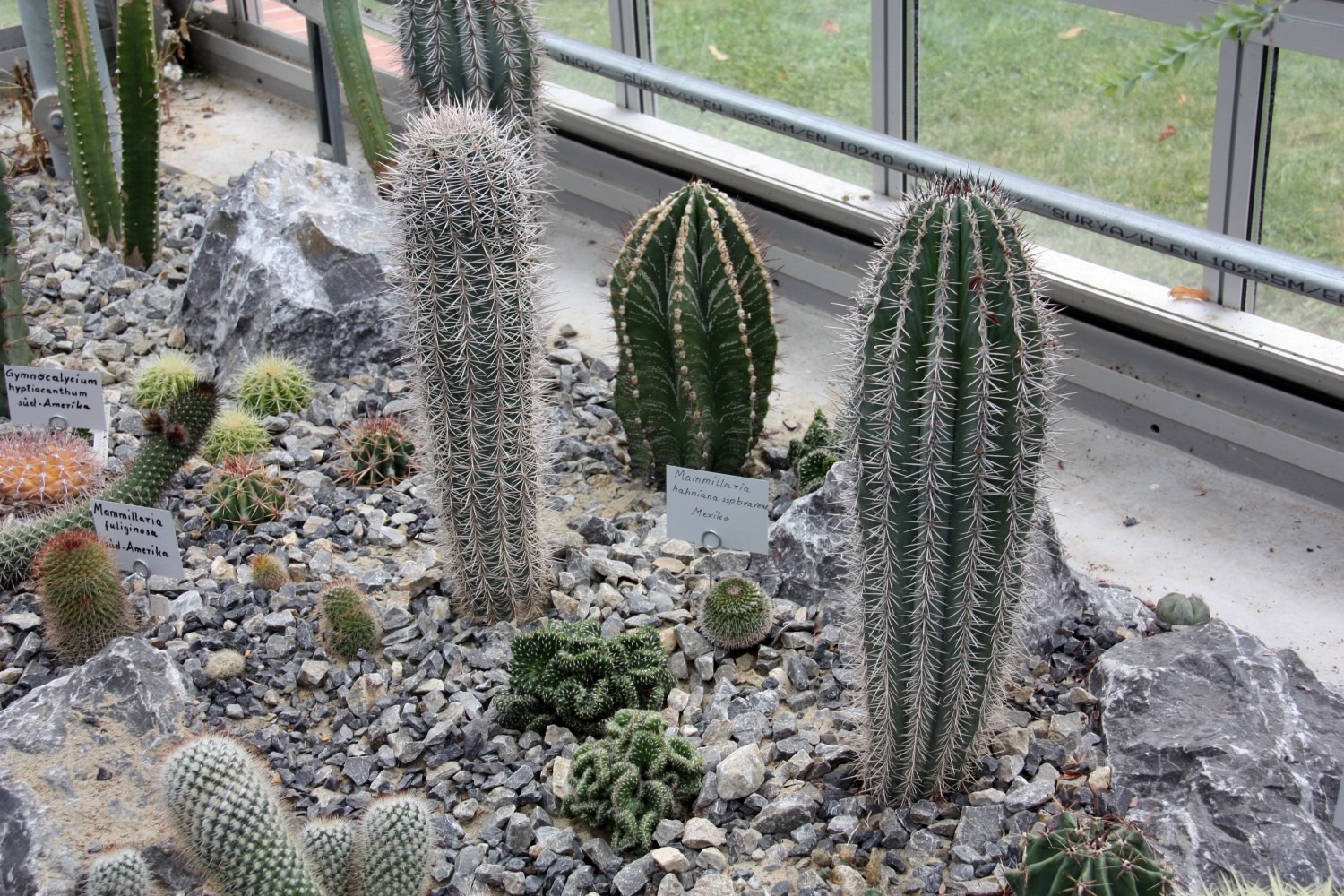 Botanischer Volkspark Berlin