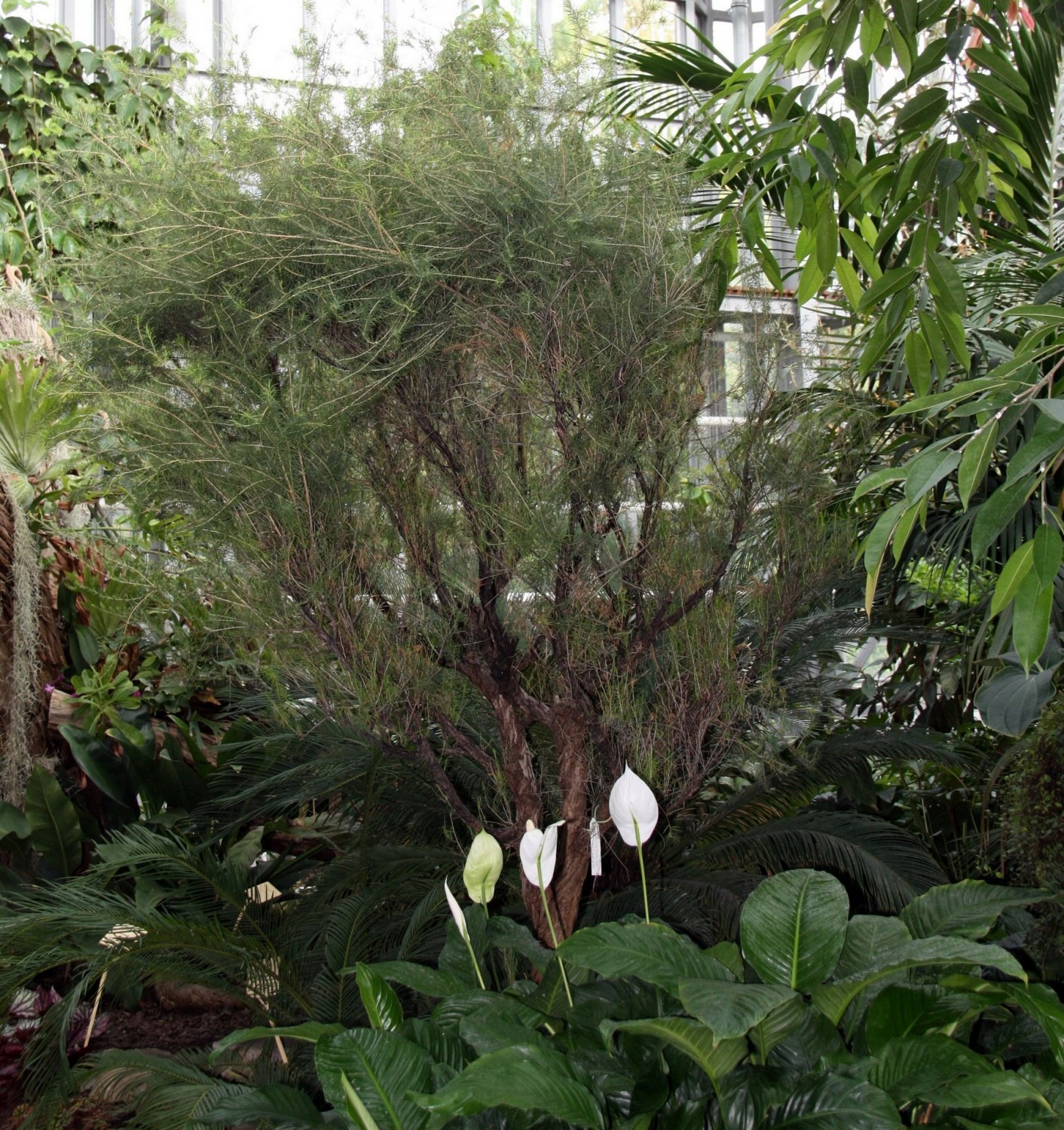 Botanischer Volkspark Berlin