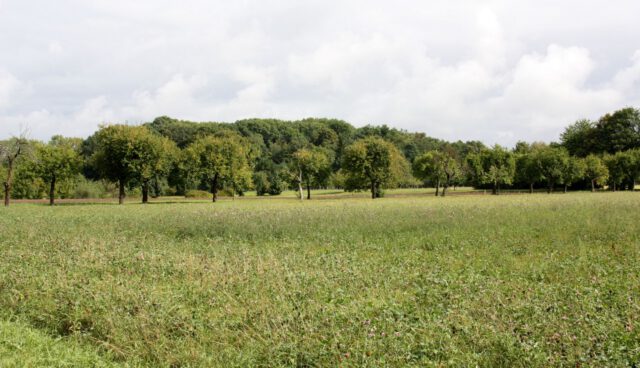 Botanischer Volkspark Berlin