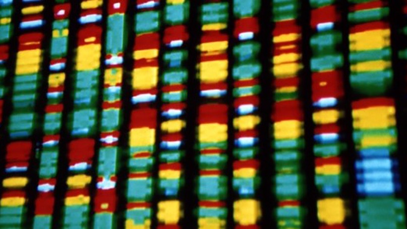 Die DNA der Geschichte