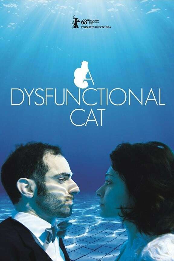 A Dysfunctional Cat, 2018 – ★★★★★