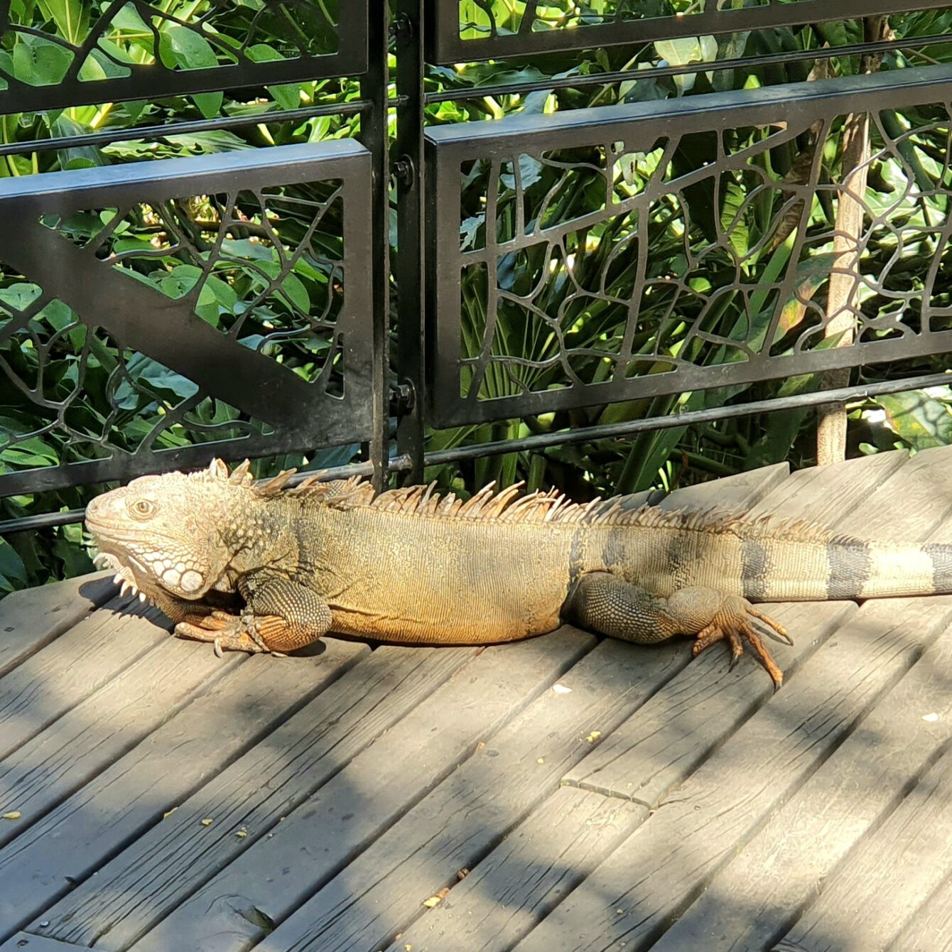 Jardin Botánico de Medellín