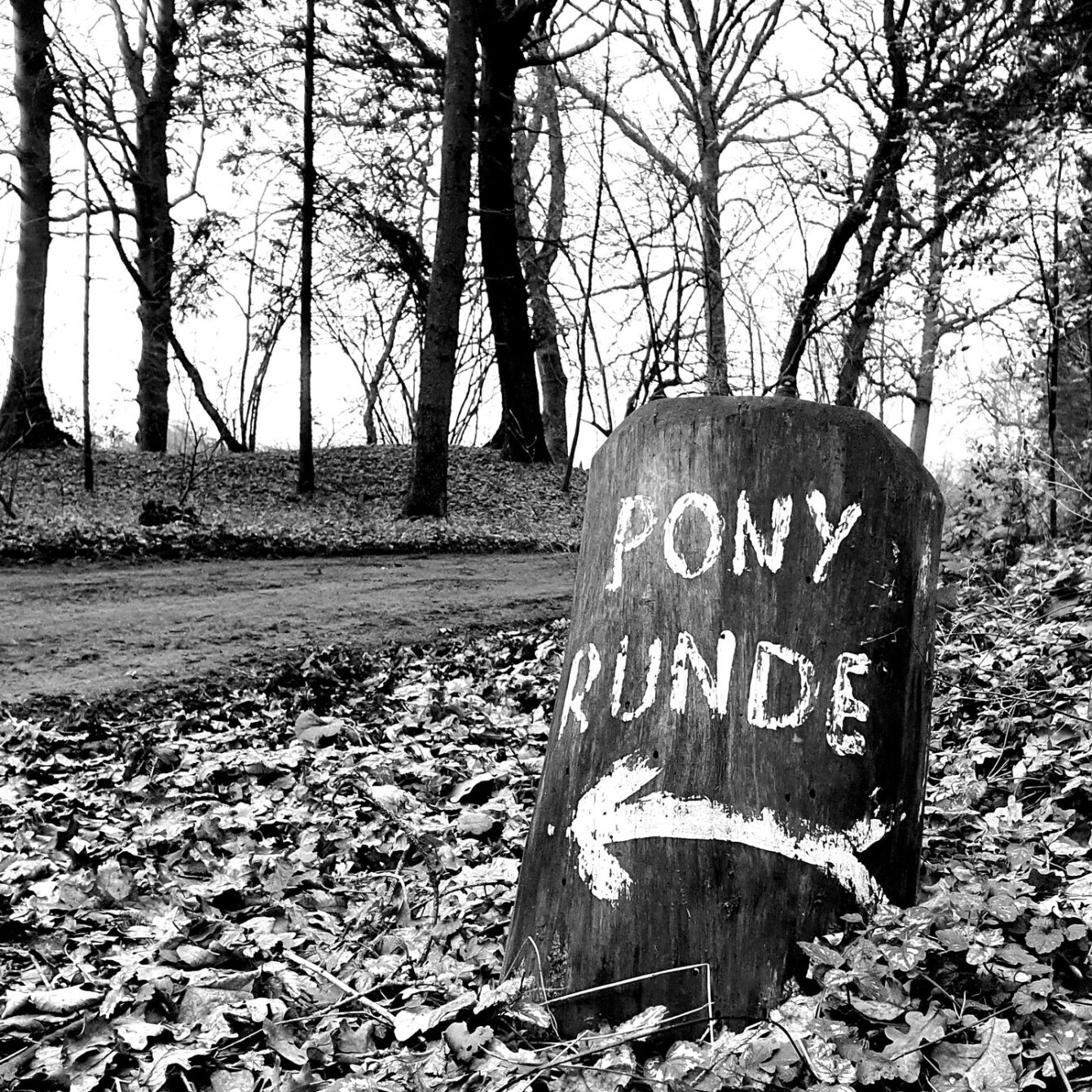 Ponnyrunde im Klövensteen (Hamburg) (01/2023)