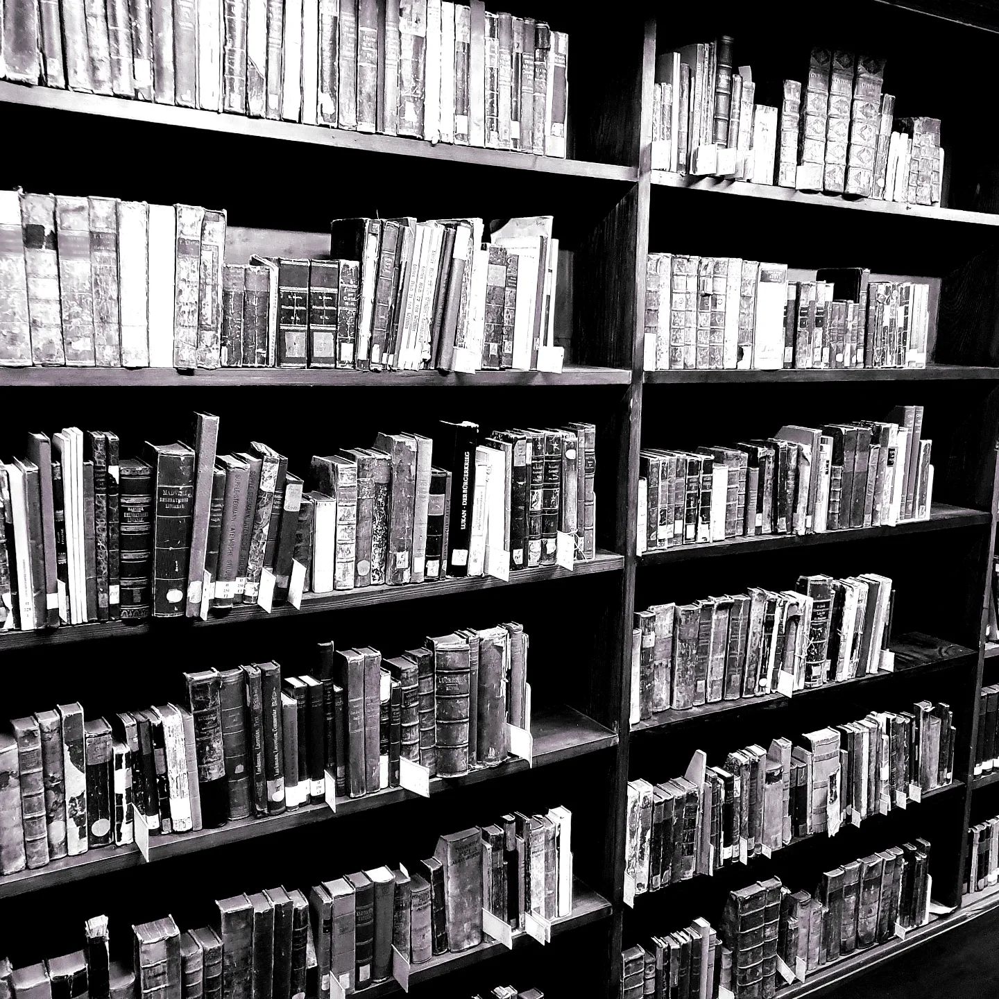 Bibliothek der Johanneum-Schule in Göttingen in Hamburg (01/2023)