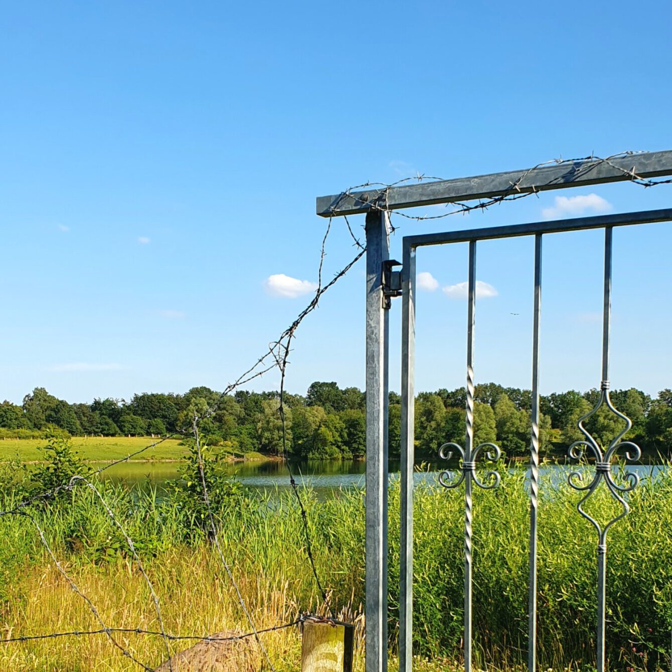 Lake & gate.
