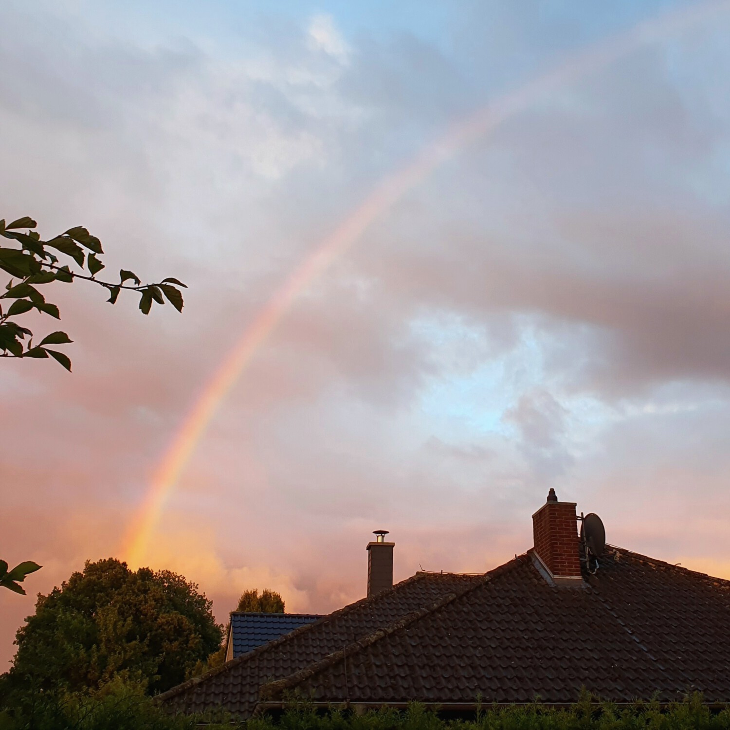 Rainbow