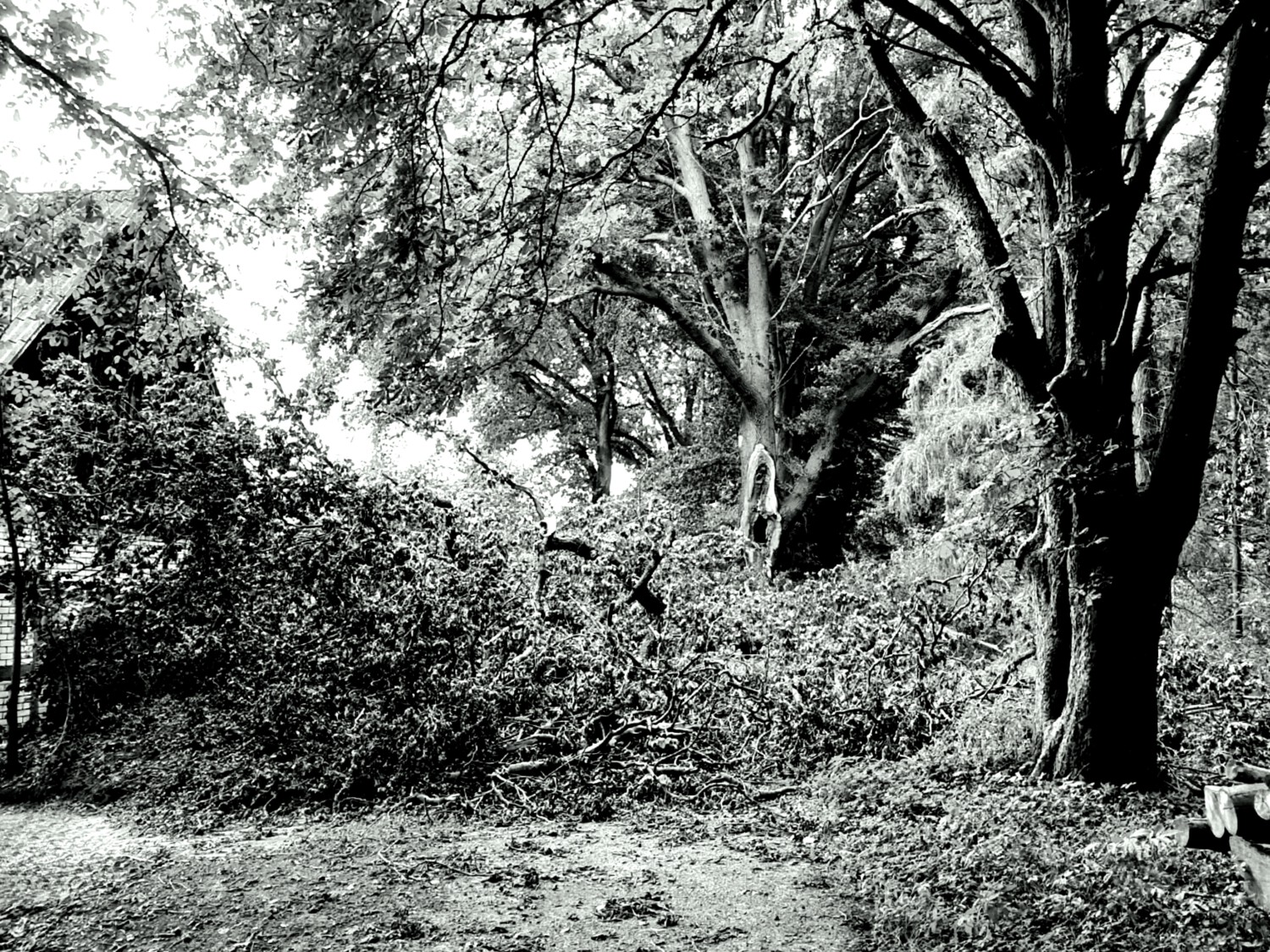 Blocked road near Visbek.