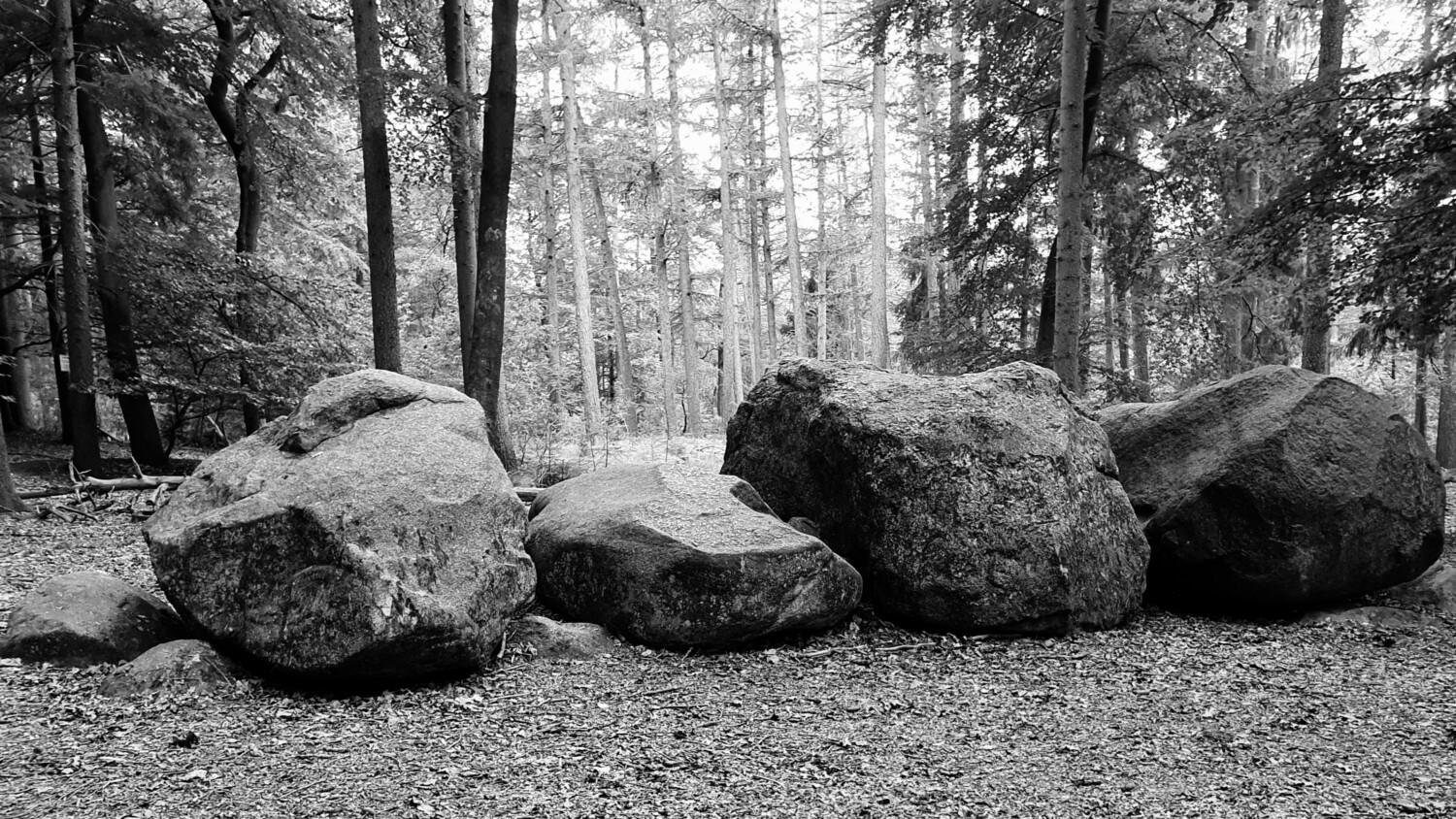 Parts of the remaining structures of a Stone Age megalithic burial ground.