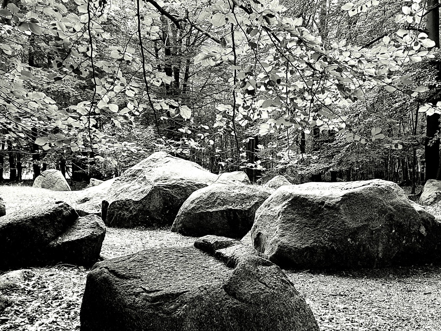 Parts of the remaining structures of a Stone Age megalithic burial ground.