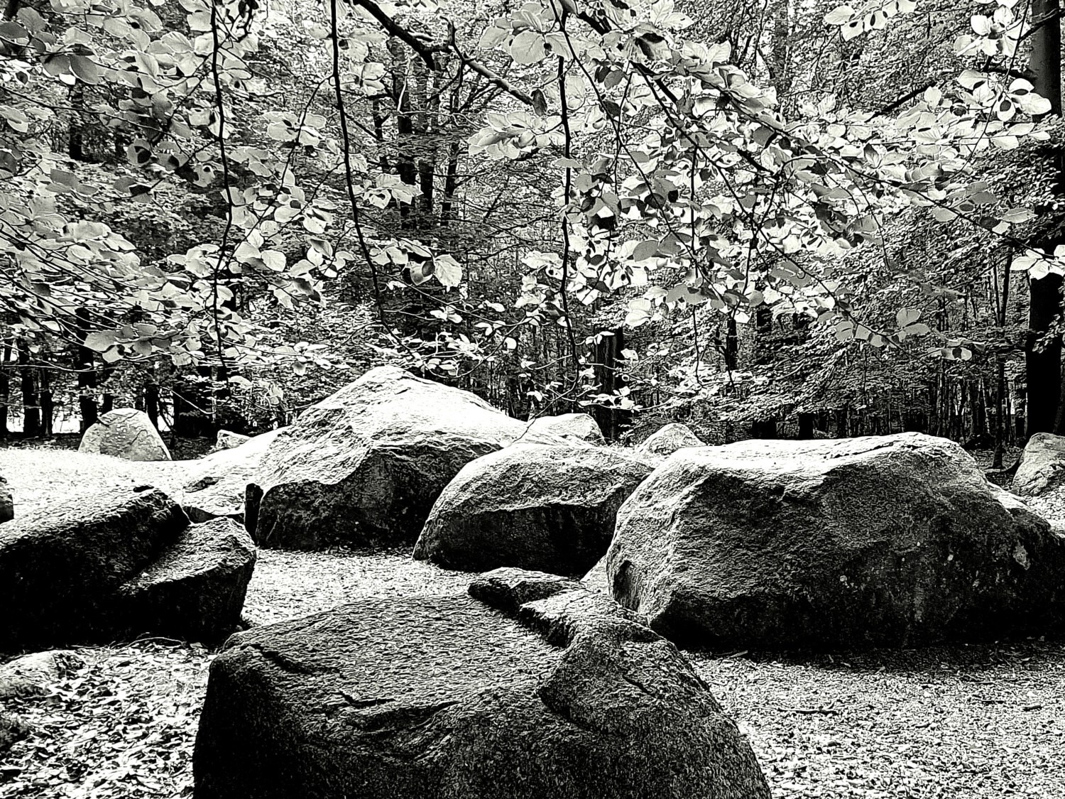 Stone Age