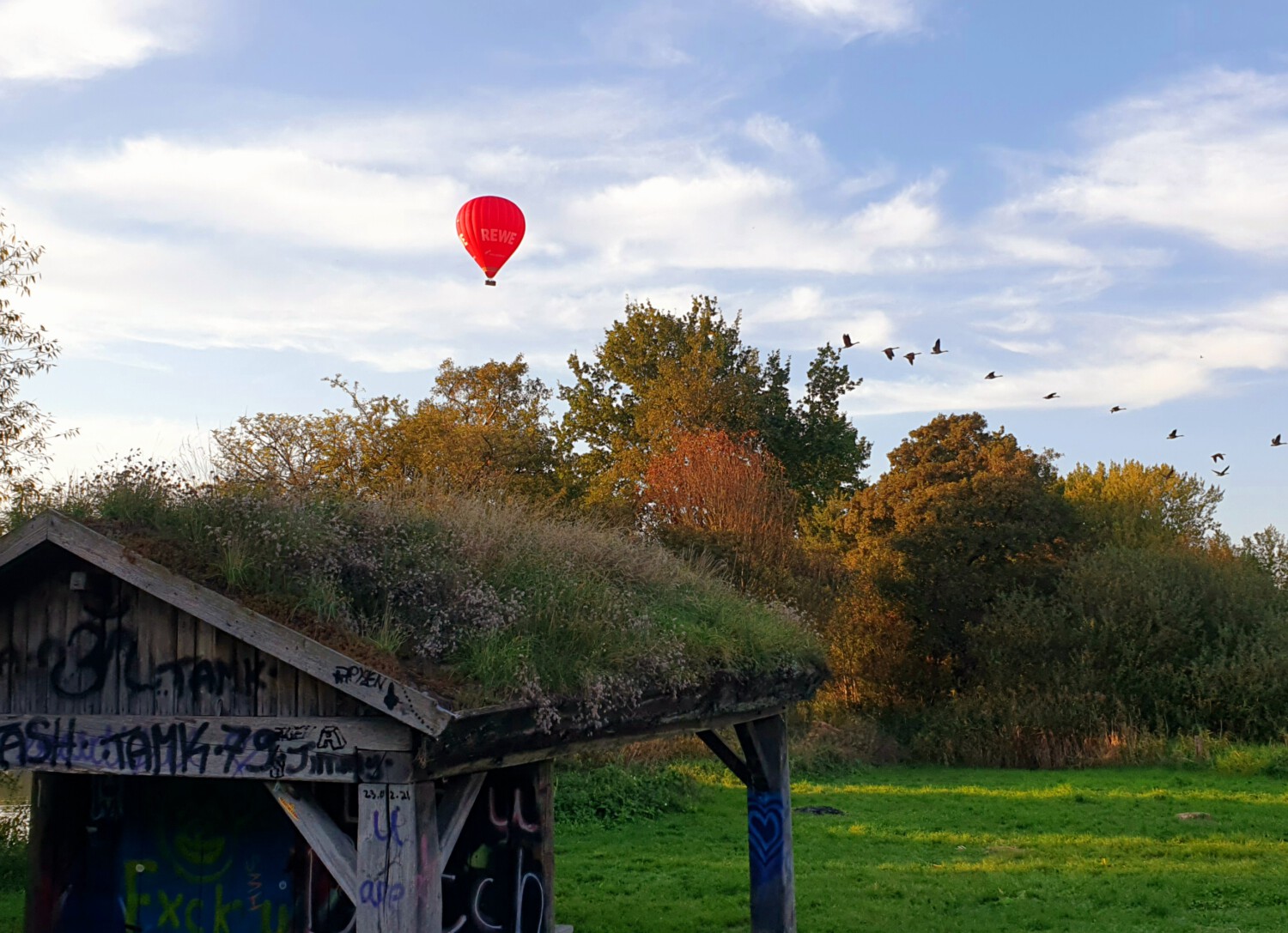 A red hot air balloon floats above autumn trees. In the foreground, a wooden structure covered in graffiti sits in a grassy field. Birds fly in the distance.