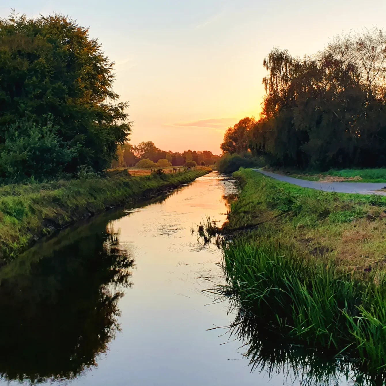 Scenic sunset view of a narrow creek reflecting orange sky. Trees line both banks, with a path visible on the right side.