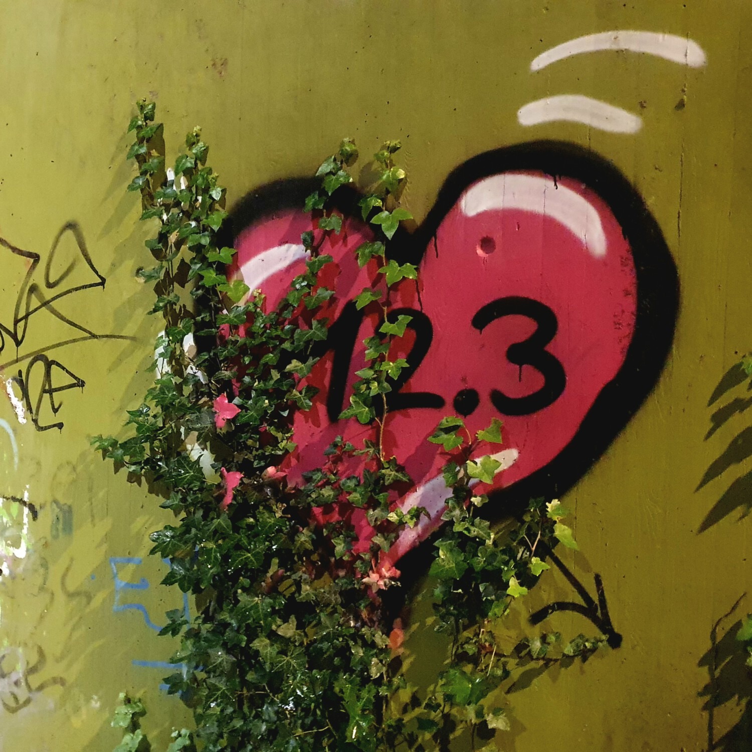 Heart