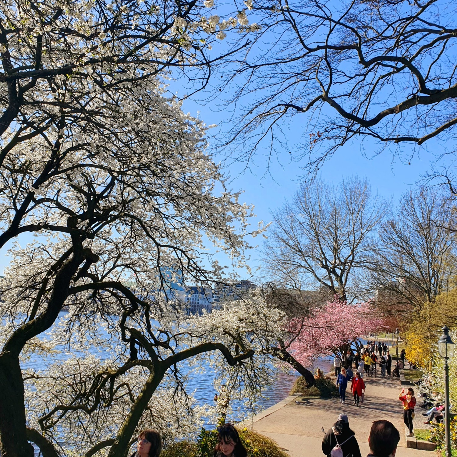 Spring in Hamburg