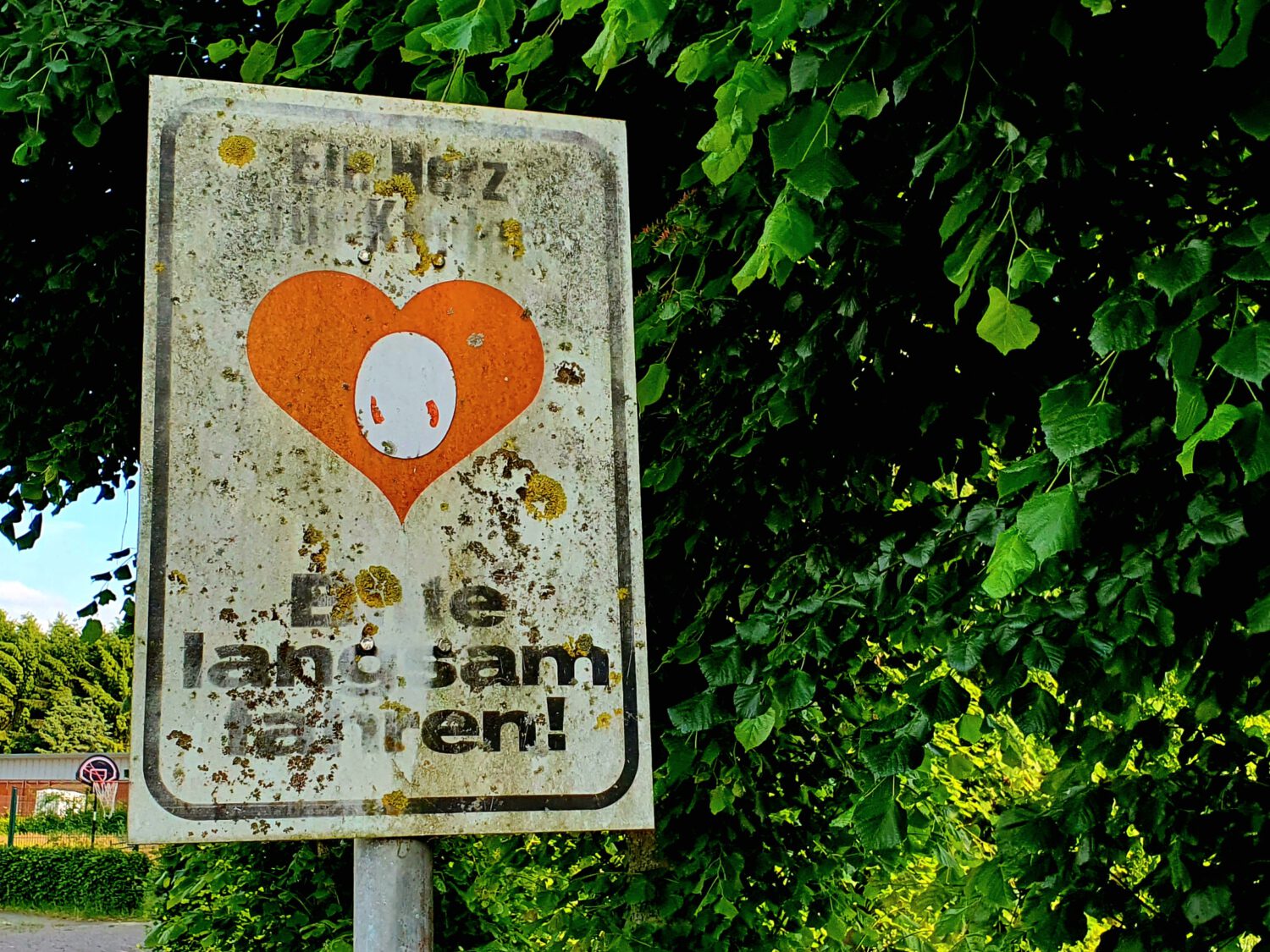 A weathered white street sign displays a red heart and difficult-to-read text asking drivers to pay attention to children. The sign is mounted against lush green foliage, with lichen and dirt covering its surface.