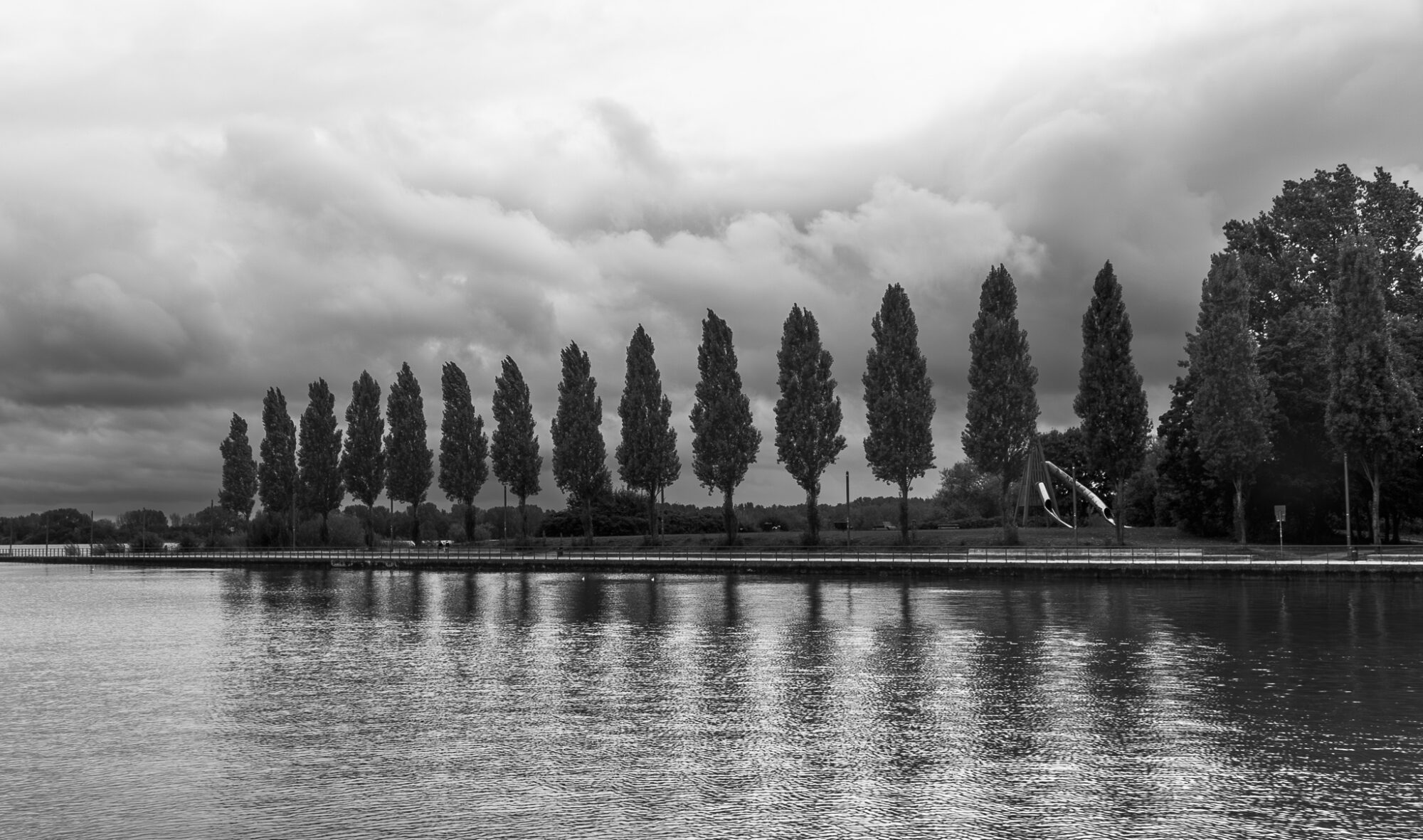 A row of tall, slender trees stands along the edge of a still body of water in black and white. The trees create a striking silhouette against a dramatic cloudy sky, their reflections visible in the calm water below. A walkway or pier runs along the waterfront, and additional trees are visible on the right side of the frame.
