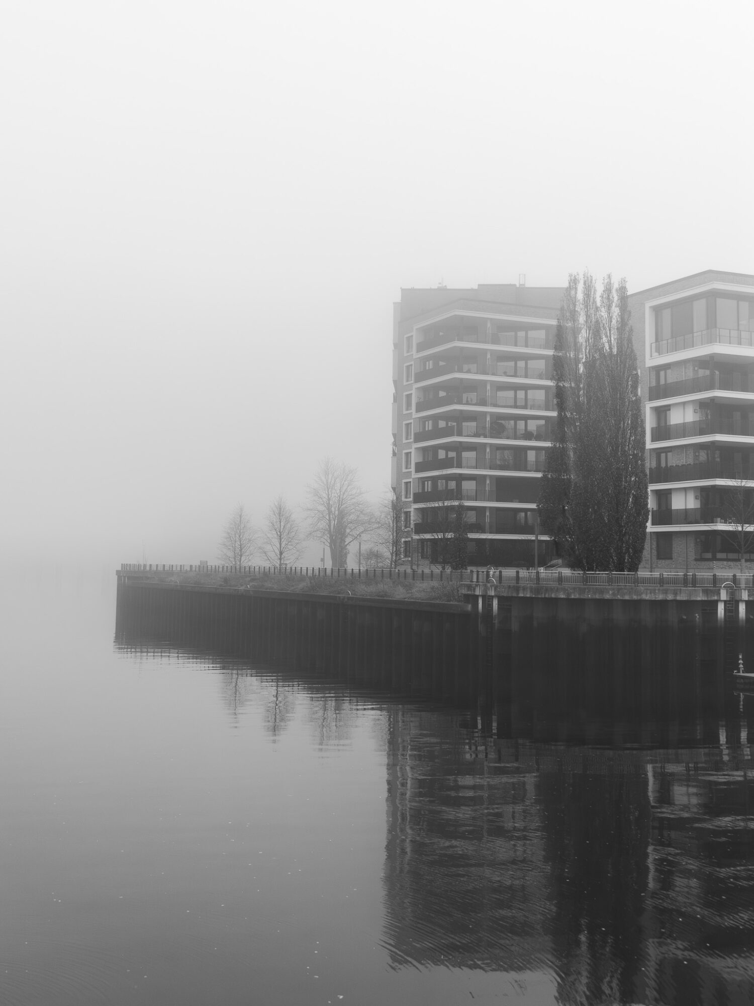 Modern apartment buildings shrouded in dense fog along a harbour waterfront. A tall poplar tree stands between two residential towers with curved balconies. Bare winter trees line a wooden fence at the water's edge, with reflections visible in the still, dark water below.