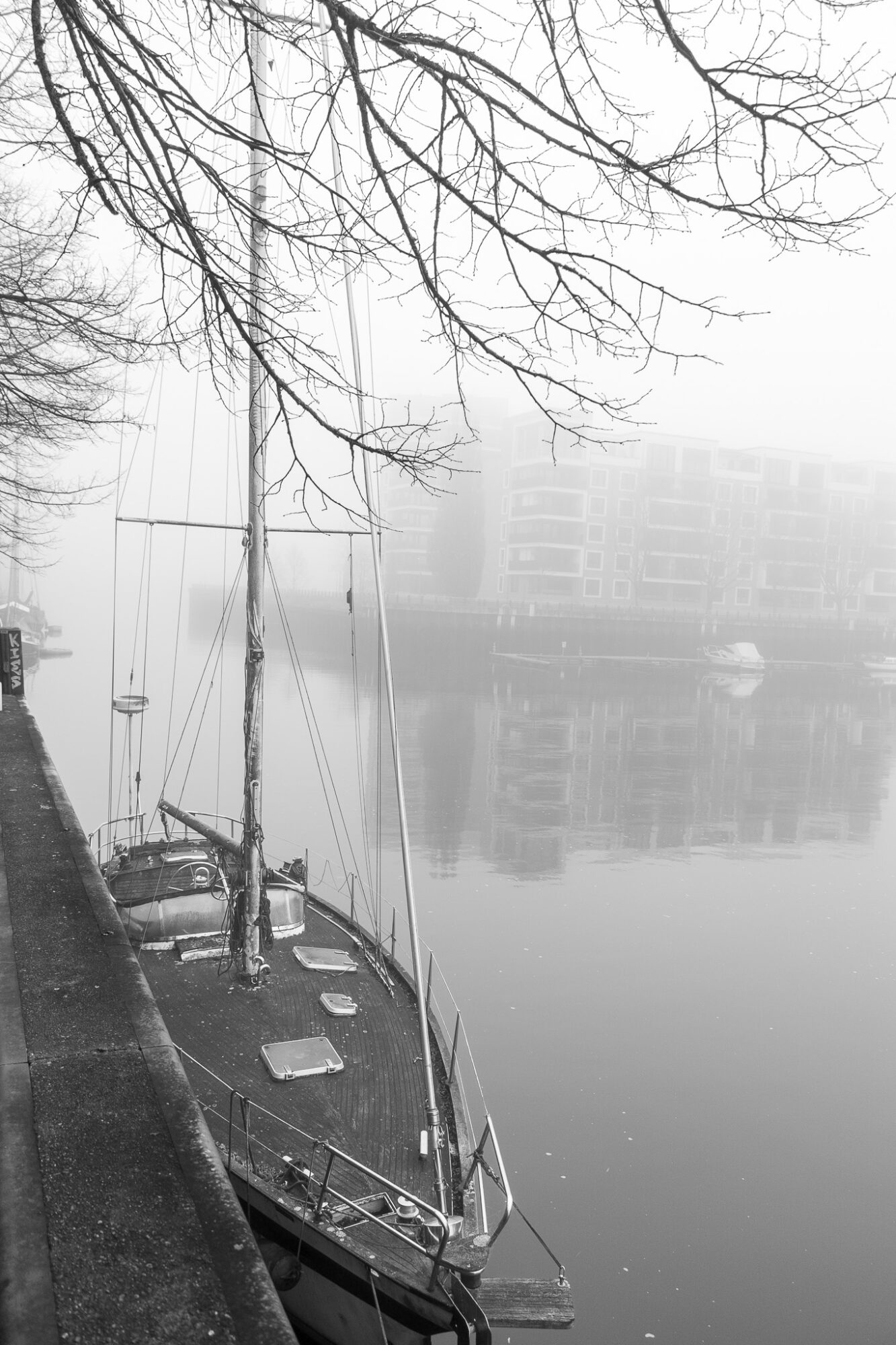 Foggy harbour