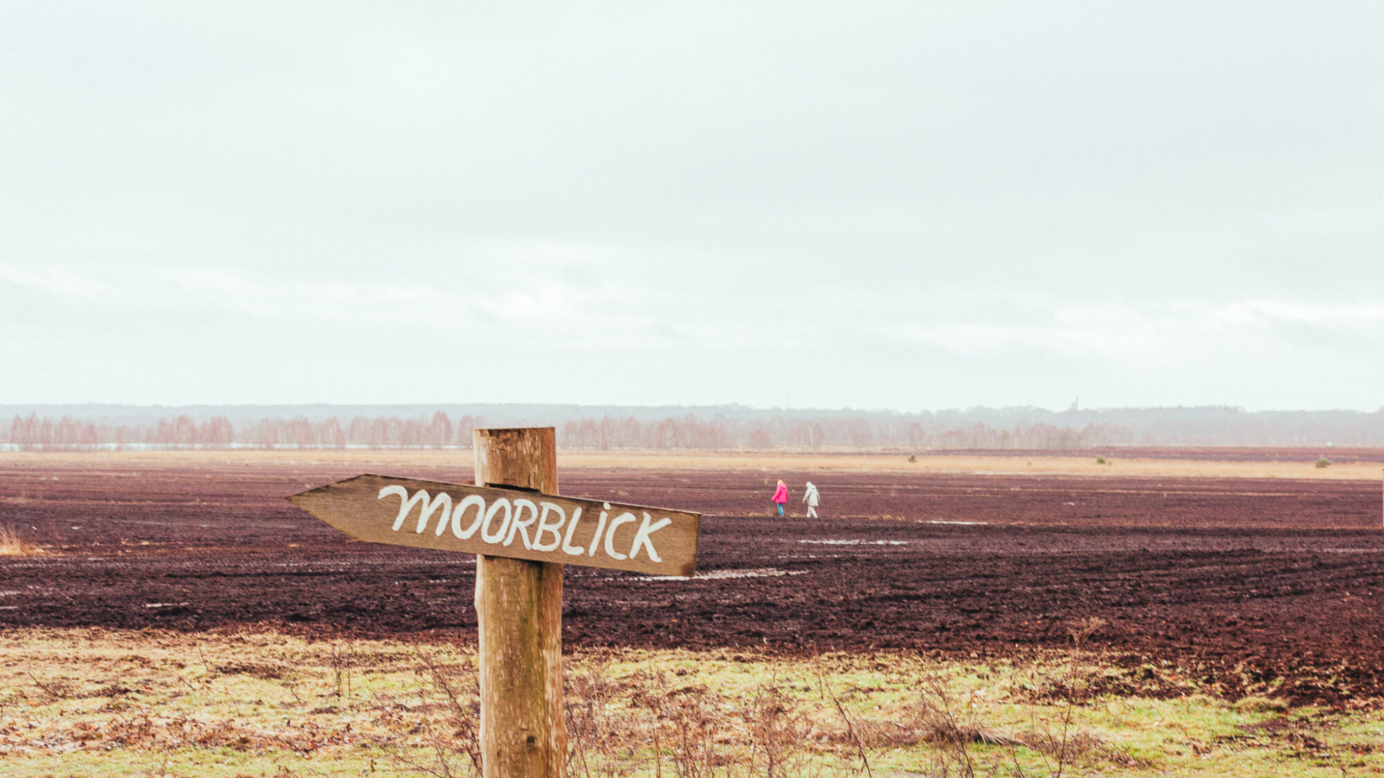 Wooden signpost reading "MOORBLICK" (Moor view) points across a dark purple-brown moorland. Two small figures walk in the distance across the heath, with misty tree lines visible on the horizon under an overcast sky.