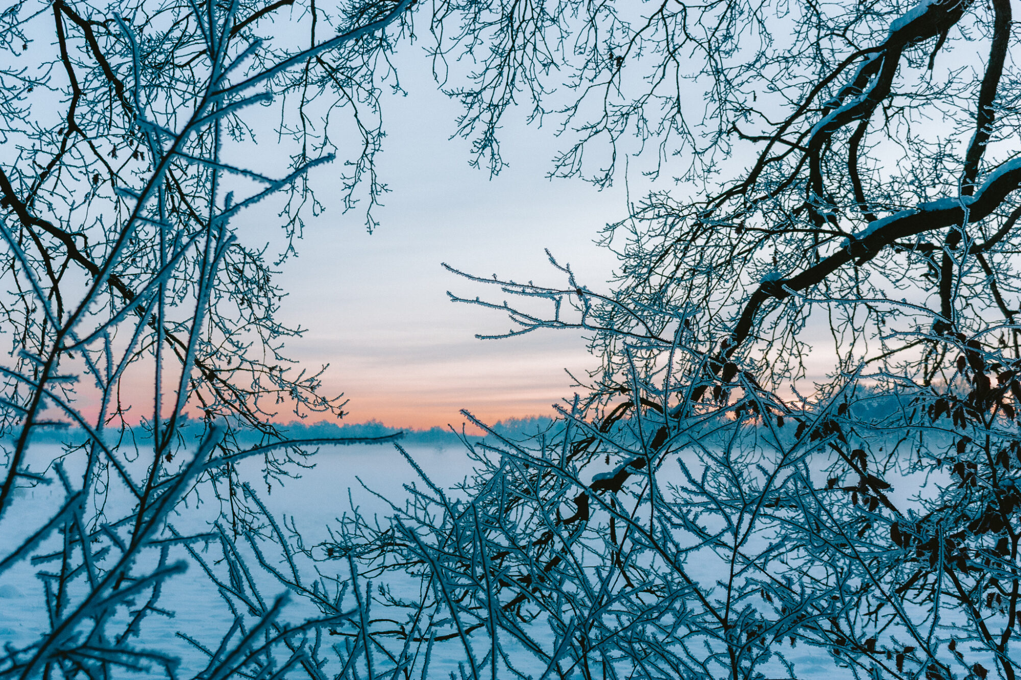 Winter impressions I