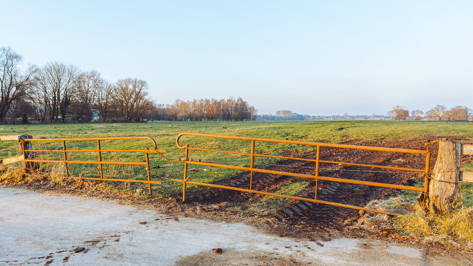 A weathered metal farm gate stretches along a country path, its horizontal rails showing rust and age. The gate is mounted on wooden posts with dried straw or hay visible at its base. Beyond the fence, green winter pasture extends towards a tree line on the left, where bare trees catch golden late-afternoon light. The landscape appears flat and open, with additional trees and fields visible in the misty distance beneath an overcast sky.