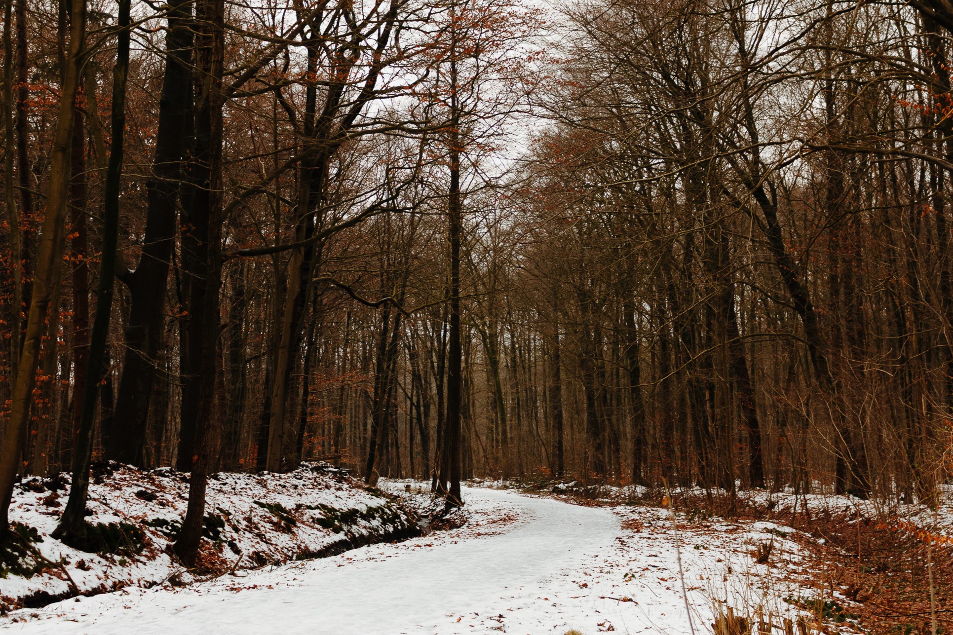 A moody winter forest path covered in light snow, winding through dense deciduous woodland. The narrow trail curves gently to the right through tall, bare trees with dark trunks and scattered remaining brown leaves. The atmosphere is dim and overcast, creating a contemplative, quiet mood. Patches of snow and fallen leaves carpet the forest floor, with undergrowth and smaller saplings visible among the mature trees.