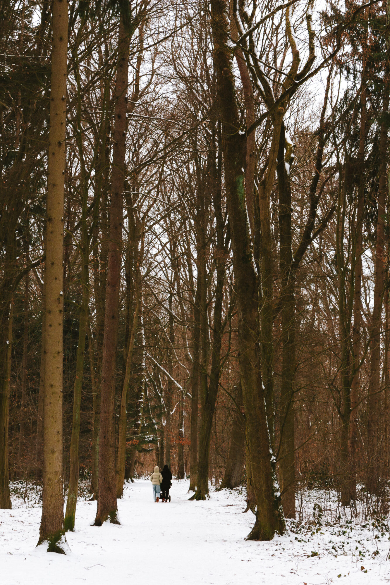 Two people walk along a snow-covered path through a tall winter forest. The figures are distant and small, dwarfed by towering bare trees that create vertical lines throughout the composition. Snow blankets the forest floor, and the muted colour palette emphasizes the quiet solitude of a winter woodland walk.
