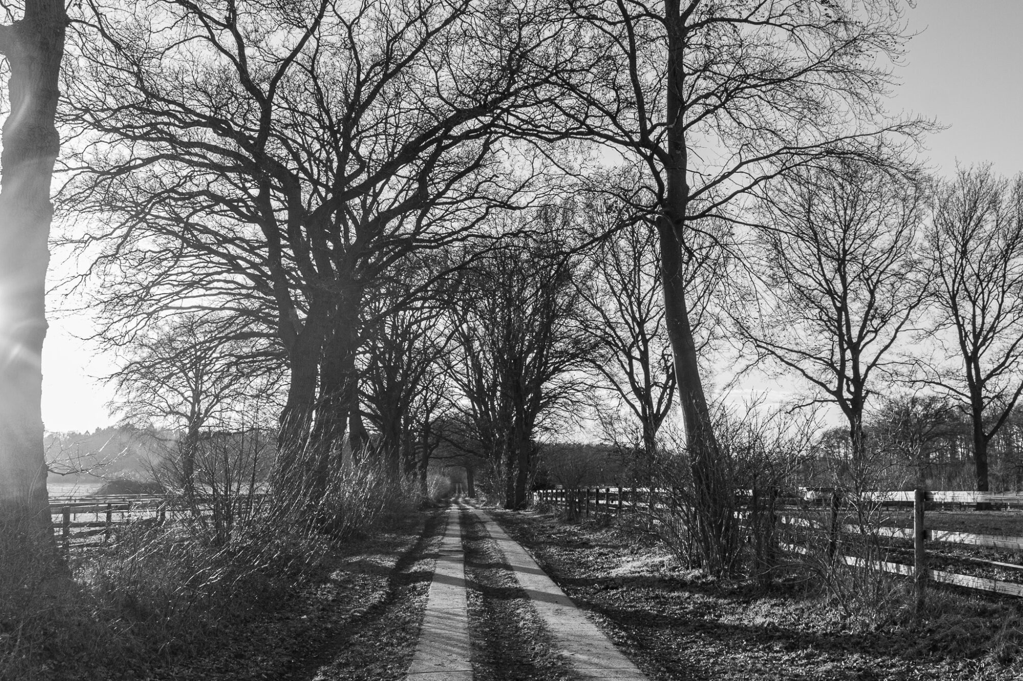 Sun and moon over Schenefeld
