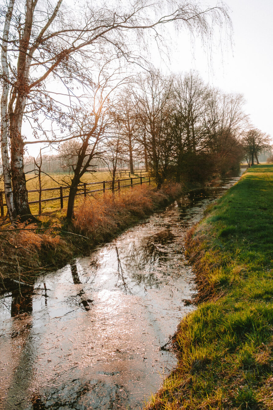 A narrow drainage ditch or stream stretches into the distance along a rural path, sunlight glinting brightly off the water's surface. A birch tree on the left catches the low sun, creating a warm backlit haze. Green grassy embankment runs along the right, with bare deciduous trees and a wooden fence bordering a meadow on the left. The low winter sun creates strong reflections in the shallow water.