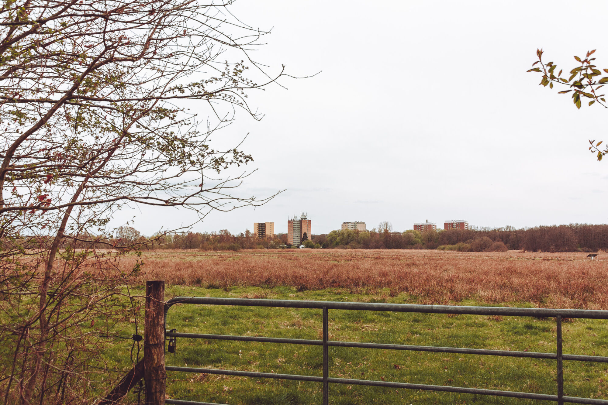 Skyscrapers in the fields