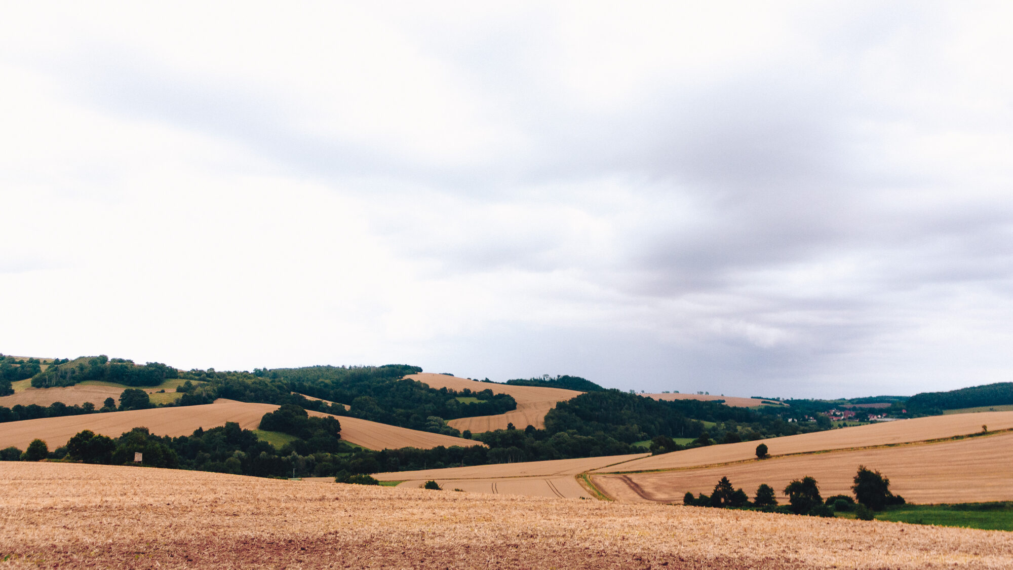 Rolling farmland under an overcast sky, with harvested golden-brown fields curving across gentle hills. Patches of dense green woodland separate the fields, and a dirt track winds through the valley toward small rooftops visible in the distance. Heavy grey clouds dominate the upper half of the frame, hinting at approaching rain.