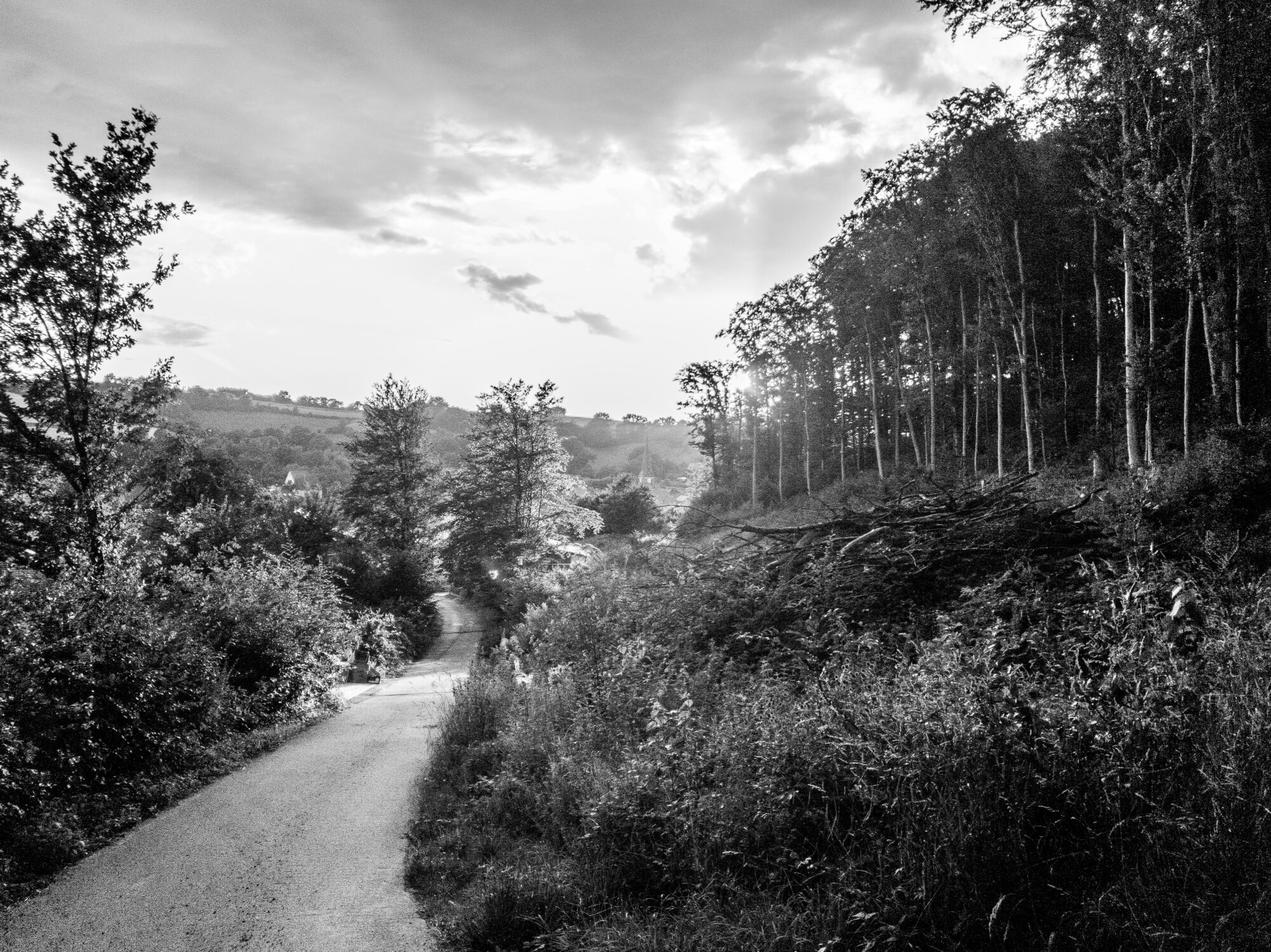 Black and white image of a narrow path curving downhill through dense trees and overgrown bushes. Sunlight filters through the tall trunks on the right, while a fallen tree lies across the slope. In the distance, a church spire and rooftops of a small village are visible through the gap in the foliage.