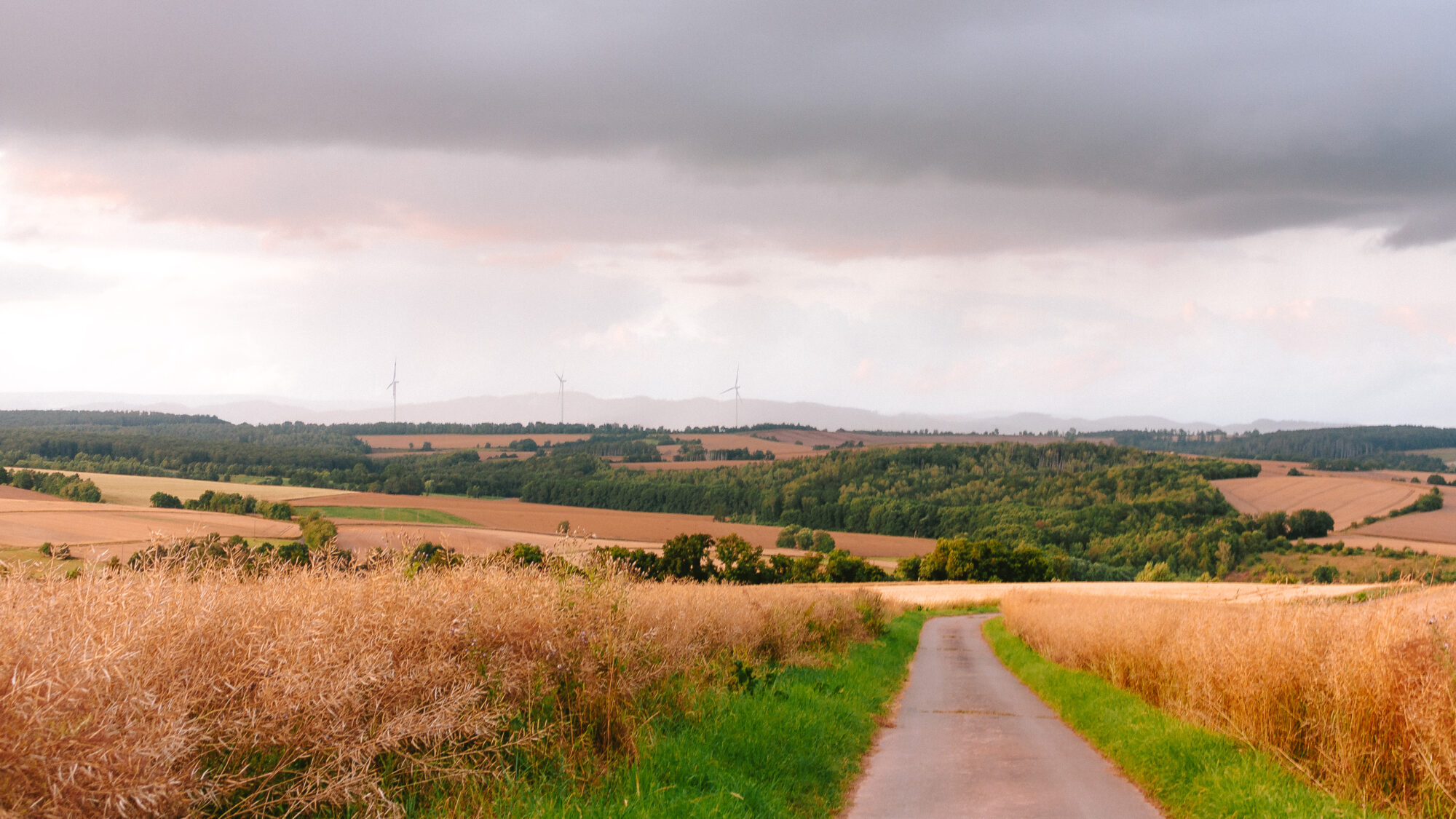 A paved path runs through golden grain fields bordered by strips of green grass, leading toward a wooded valley at dusk. Three wind turbines stand faintly on the horizon beneath a heavy, dramatic sky streaked with soft pink light breaking through the clouds.
