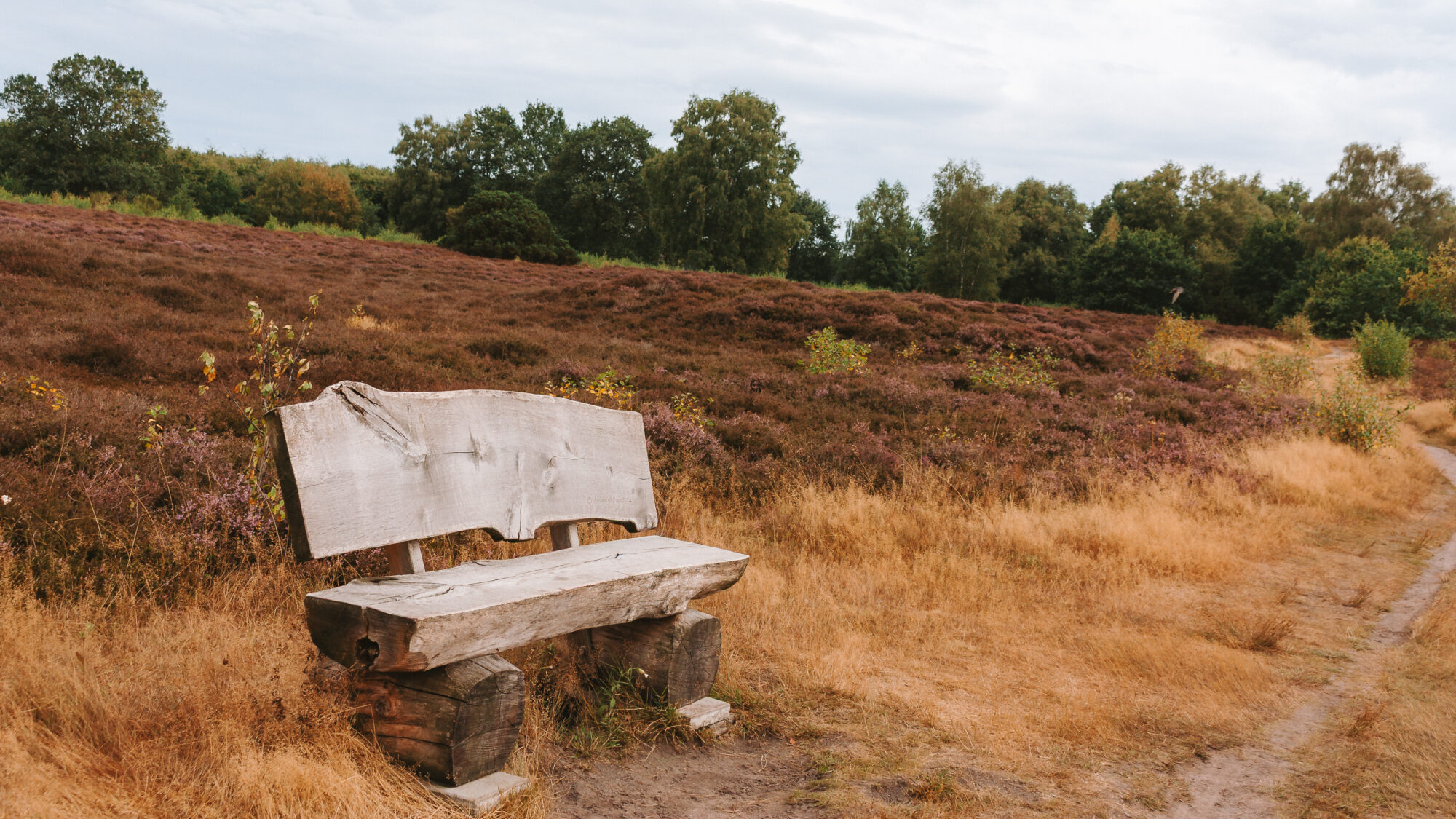 Traces of the Bronze Age