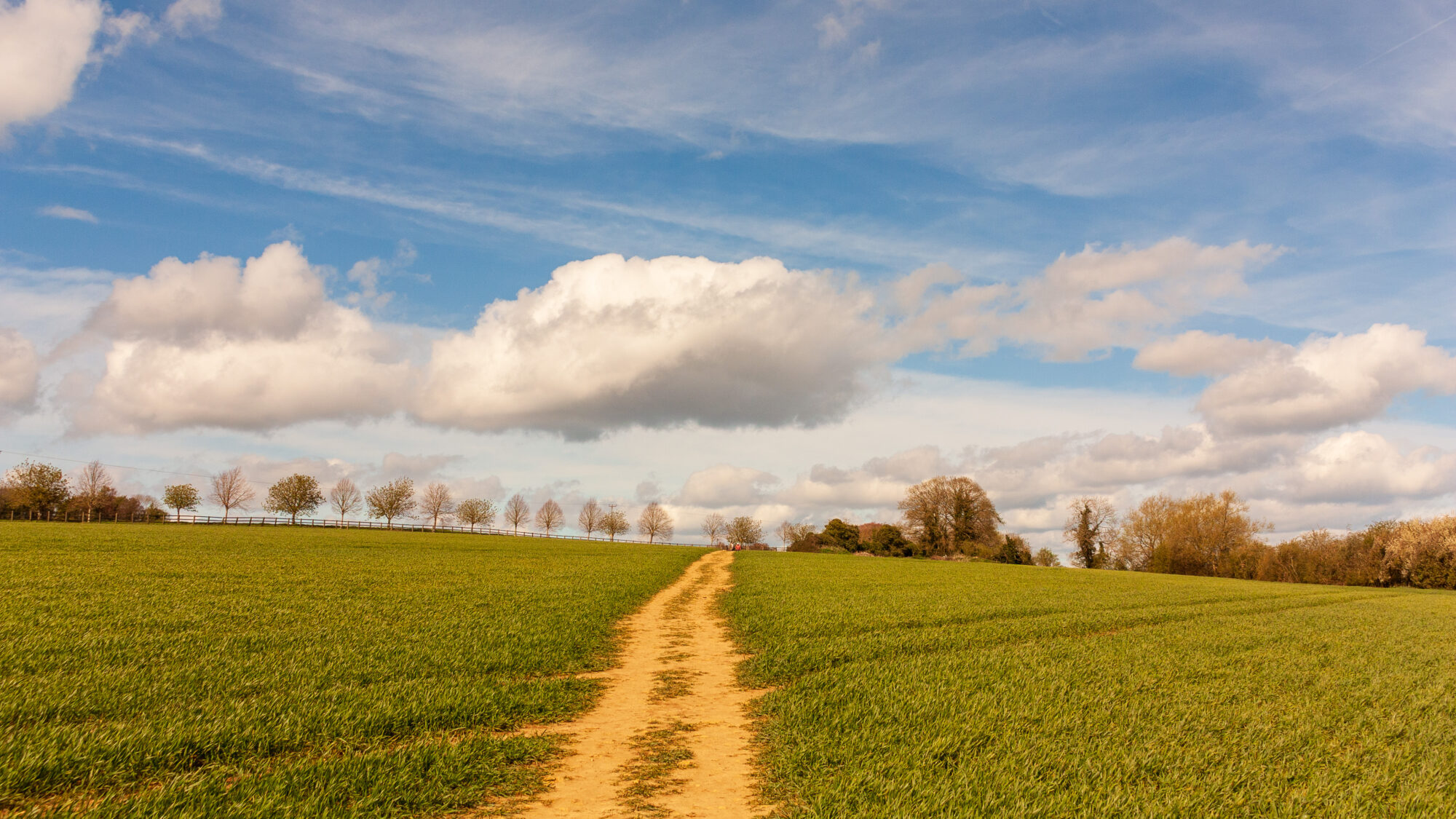The Cotswolds