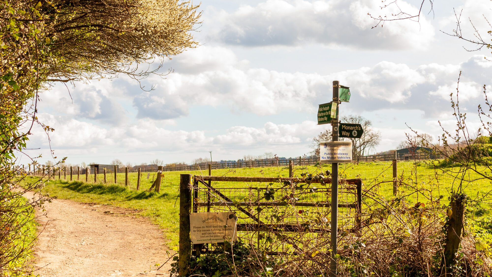 A wooden gate and footpath signpost pointing towards "Monarch's Way" and a public footpath, set against a green field and cloudy sky, framed by blossoming hedgerow.
