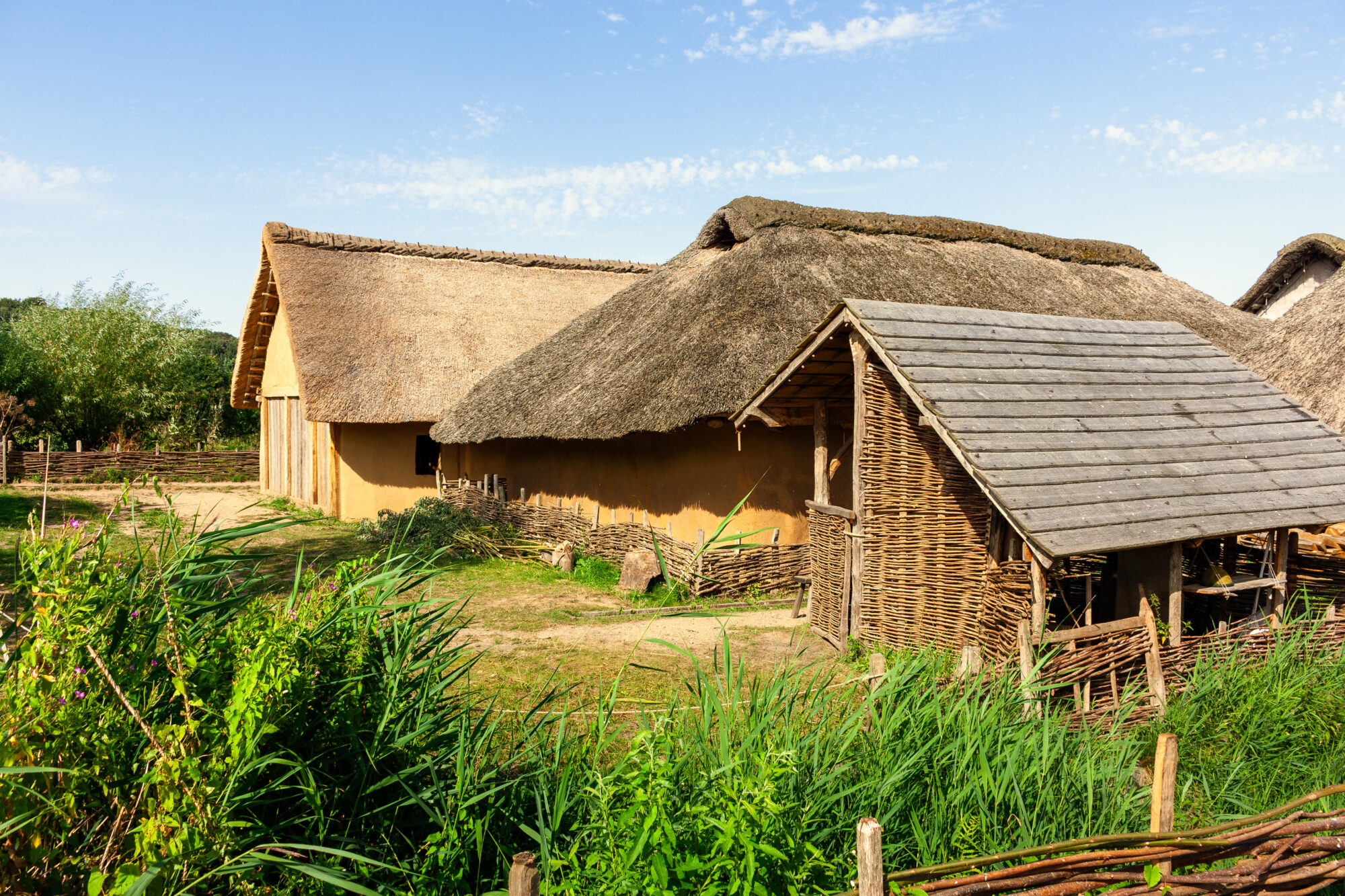 Reconstructed Viking longhouses with thick thatched roofs and daub walls, enclosed by a wattle fence, at the Haithabu open-air museum in warm evening light.